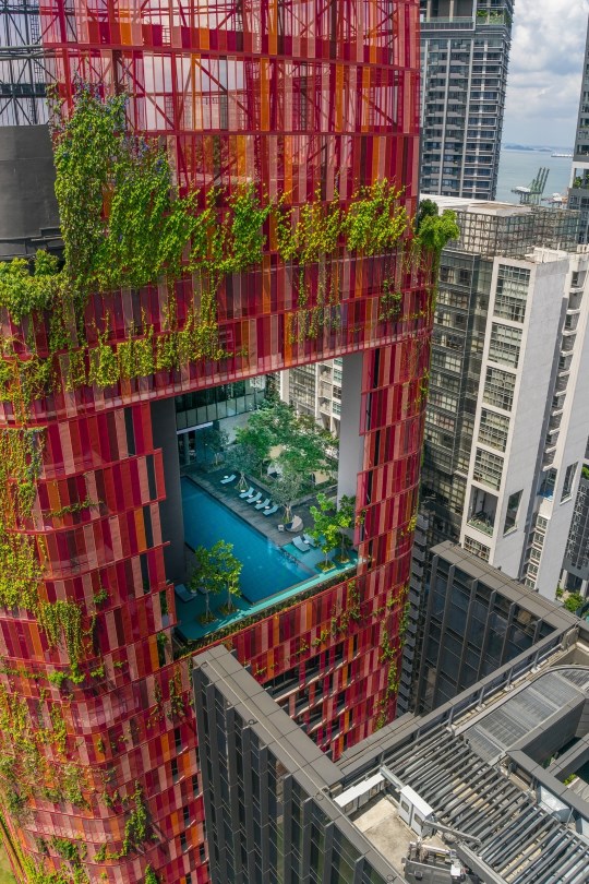 projeto-torre-oasia-singapura-05